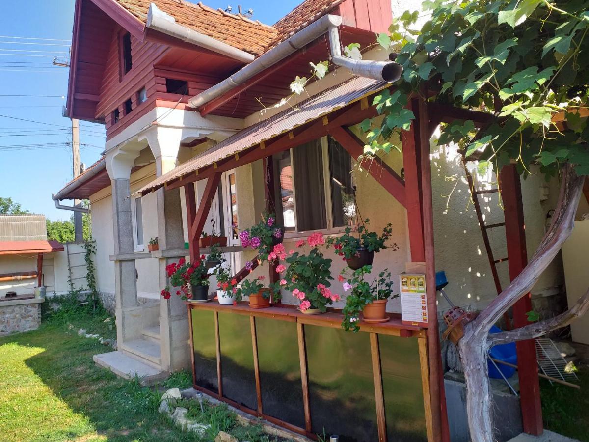 Casa Argentina Villa Cîrţişoara Kültér fotó