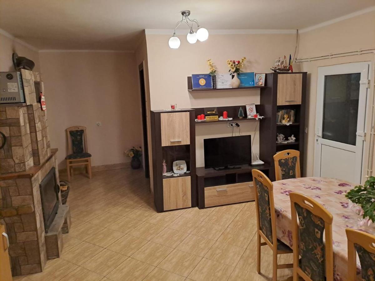 Casa Argentina Villa Cîrţişoara Kültér fotó