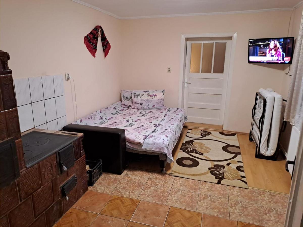 Casa Argentina Villa Cîrţişoara Kültér fotó